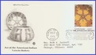 USA3 #3873j ADDR PCS ARTCRAFT FDC   Art of the American Indians Luiseno Basket