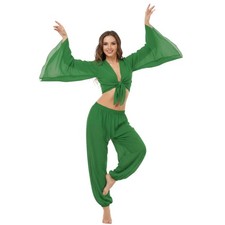 Women Chiffon Belly Dance Costume Set Bra Top Harem Pants Arabian Genie C29
