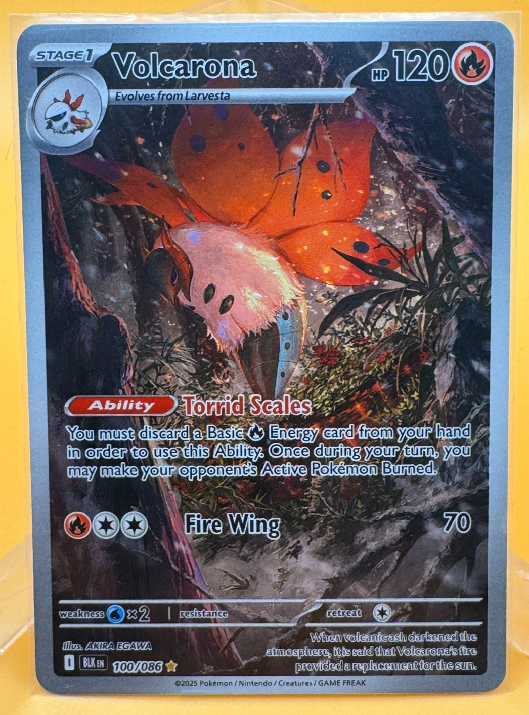VOLCARONA 2025 Pokemon Scarlet Violet Black Bolt #100/86 Illustration Rare