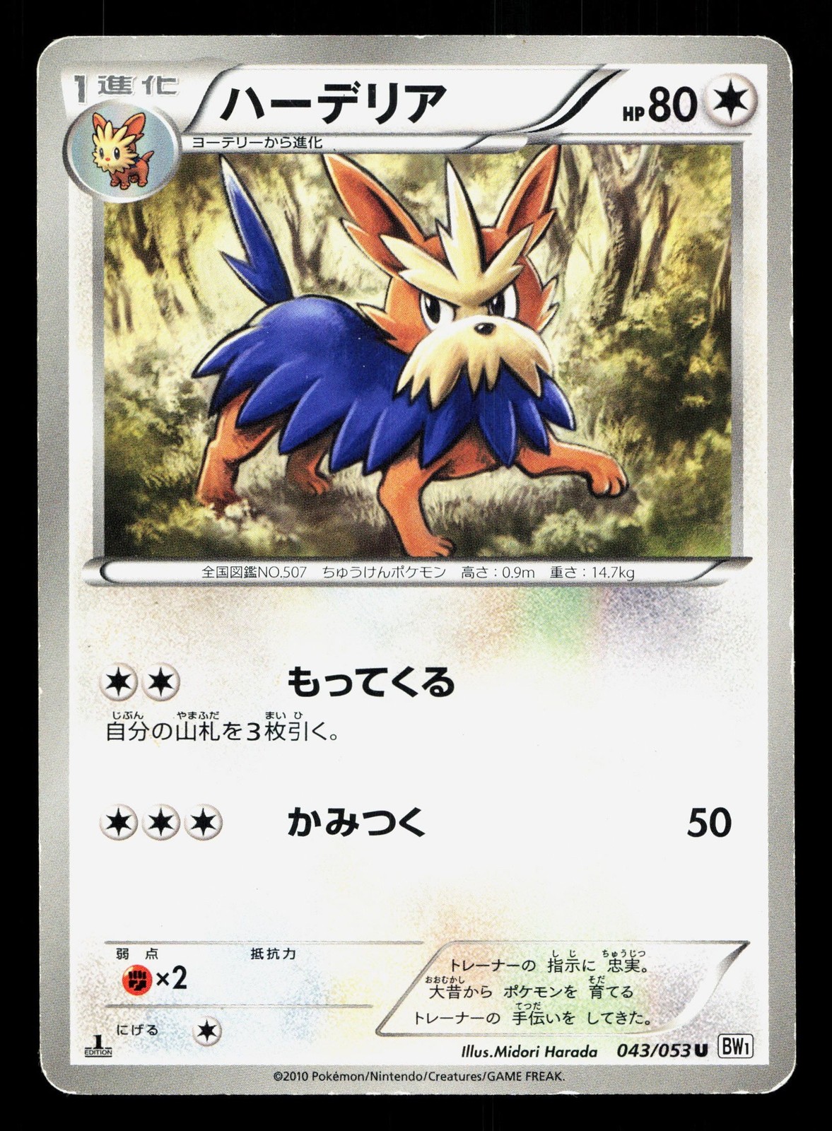 Herdier 043/053 White Collection MP 1st ED Japanese Pokemon Card TCG