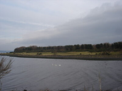 Foto 6x4 Kinneil Naturschutzgebiet Bo'ness ehemalige Zeche Müllhaufen jetzt um 2007