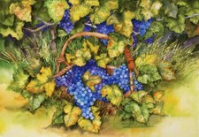 Ceramic Backsplash Tile Mural Fruit Vegetable Kitchen/Bathroom - Vineyard Fruit