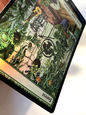 MTG Forest (Rainbow Foil) Secret Lair x KEXP 2080 NM | eBay
