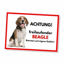 Beagle Freilaufender Hund Dog Schild Spruch Türschild Hundeschild Warnschild