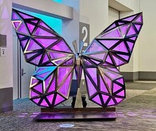 Illuminated Stainless Steel Butterfly Sculpture – Large-Scale Public Art (7’x8)