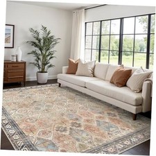 Washable Rug 5x7 Area Rug for Living Room 5' x 7' Rectangular Multi Beige