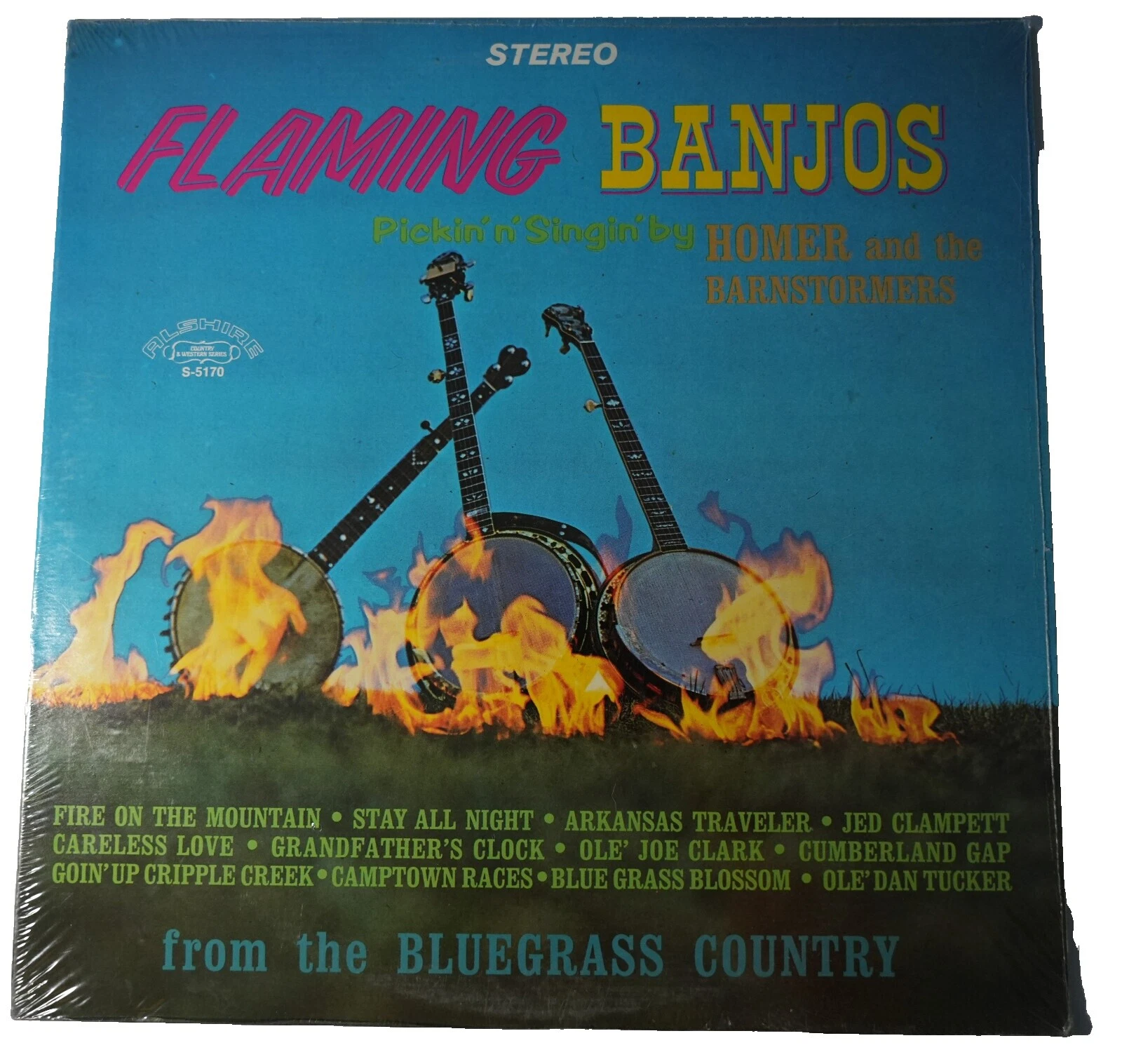 In Flames Country Vinyl Records