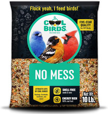 No Mess Wild Bird Seed, 10 Lb  100 Edible Shell-Free Blend of Sunflower Hearts