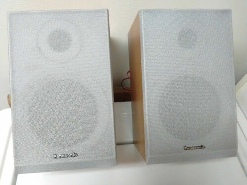 Panasonic Wireless neck speaker black SC-WN10-K TI | eBay