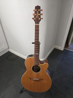 Takamine SANTA FE TSF40C