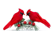 -Cardinal Clip on Christmas Tree Ornament Decorations - Red Feathers Set of 12 P