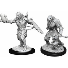 D Ds Nolzur s Marvelous Unpainted Miniatures: W11 Male Dragonborn Pala...