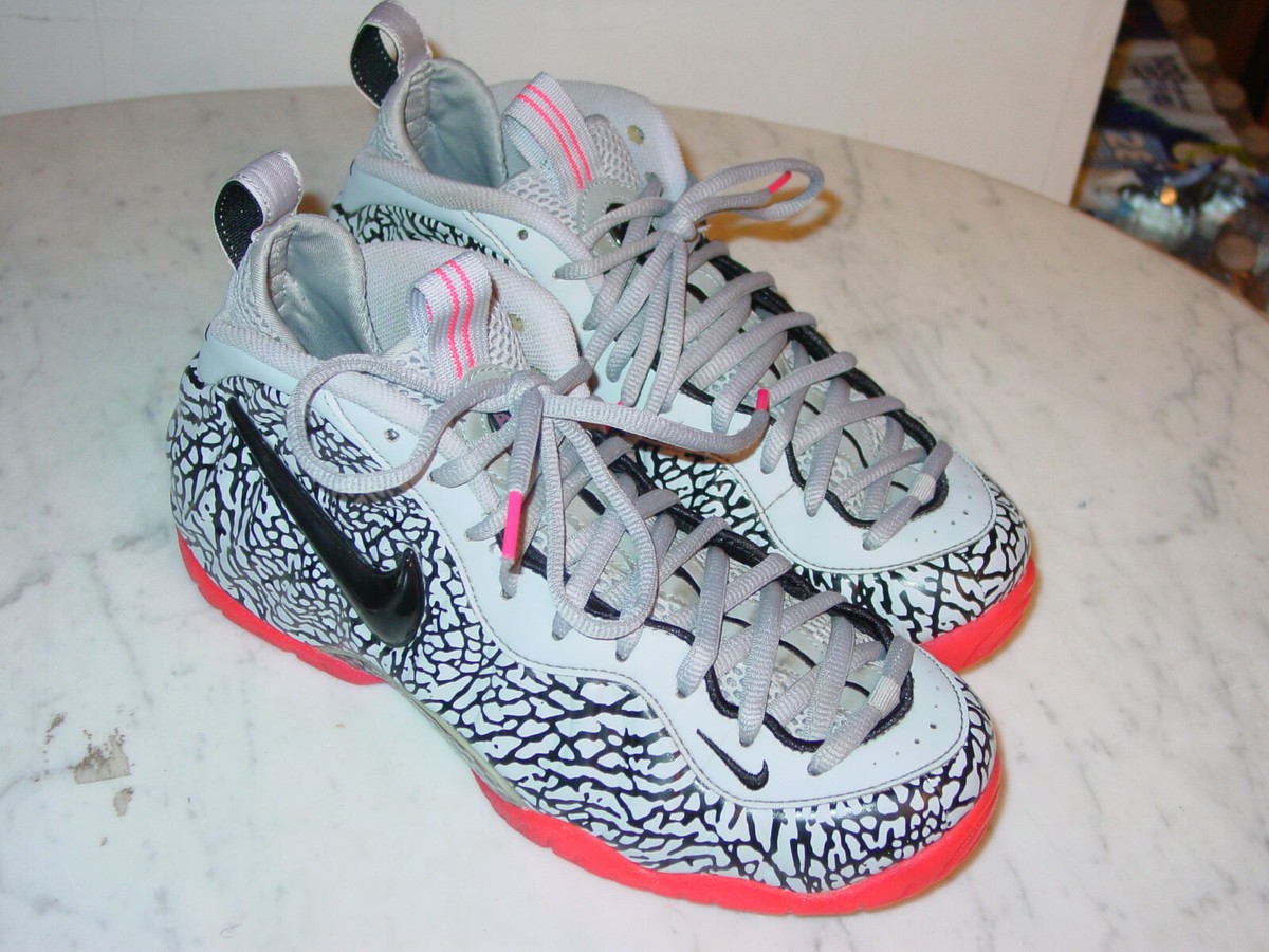 2014 Nike Air Foamposite One Premium 