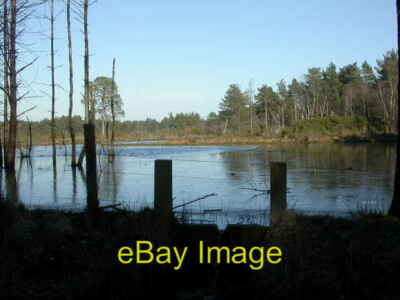 Photo 6x4 Avon Heath, pond St Ives Freely flowing to the left, with surfa c2010