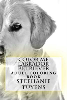 Color Me Labrador Retriever