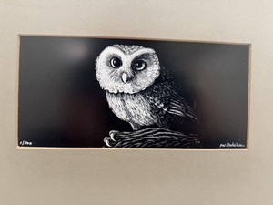 Vintage Owl Etched Signed and numbered 1/500 PW Rocheleau Framed 15” X 12”