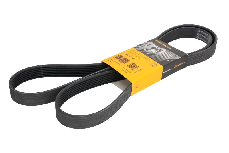 Fits CONTITECH 7 PK 1795 V-ribbed Belt 7 PK 1795 Multi-V-belt (7PK1795) fits: N