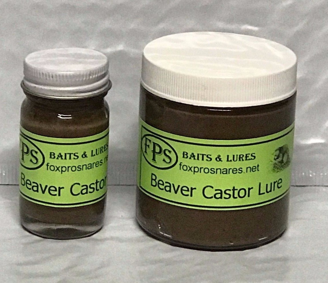 GROUND BEAVER CASTOR LURE BAIT MUSKRAT FOX COYOTE MINK TRAP TRAPPING