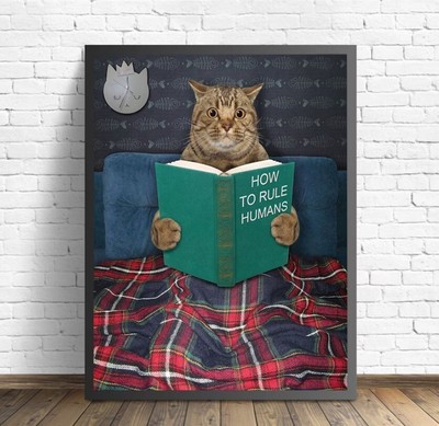 How to Rule Humans Posters Home Decoration Funny Cat Reading Book