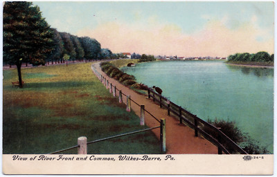 1907-1915 Wilkes-Barre PA Postcard View of River Front & Common Luzerne DB