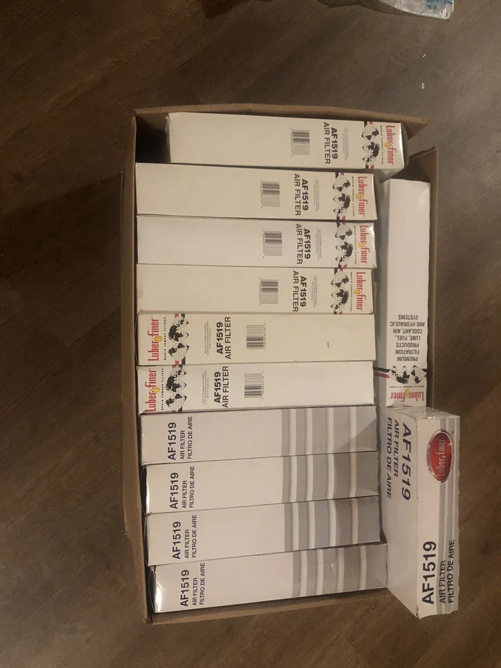 Air Filter Luber-Finer AF1519 Foto 3 de 4