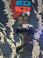 Nintendo Switch Controllers 