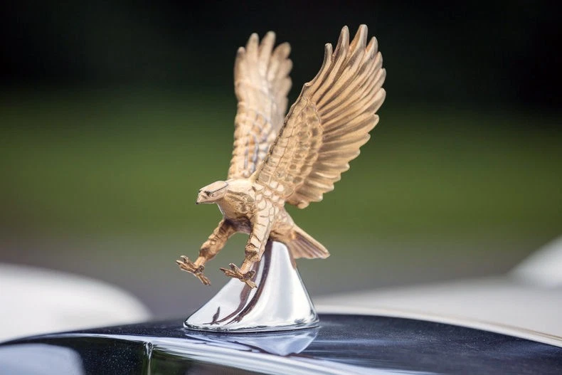 The Zimmer Golden Spirit's hood ornament says it all.