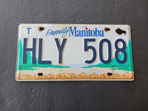 2004 Friendly Manitoba Canada License Plate HLY 508