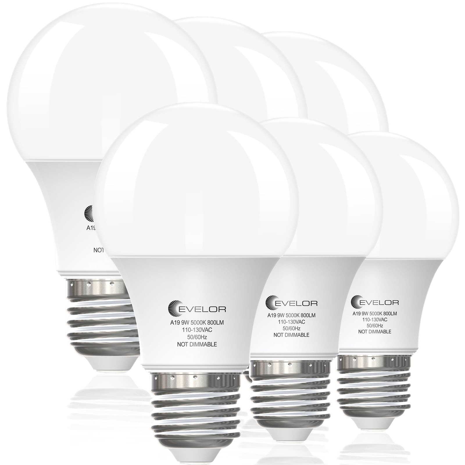6Pack A19 LED Light Bulbs,60 Watt Equivalent Daylight 5000K 