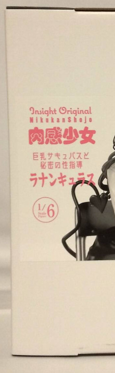 insight Official Nikkan Girl Ranunculus 1/6 PMMA Figure 190mm 2025 Japan