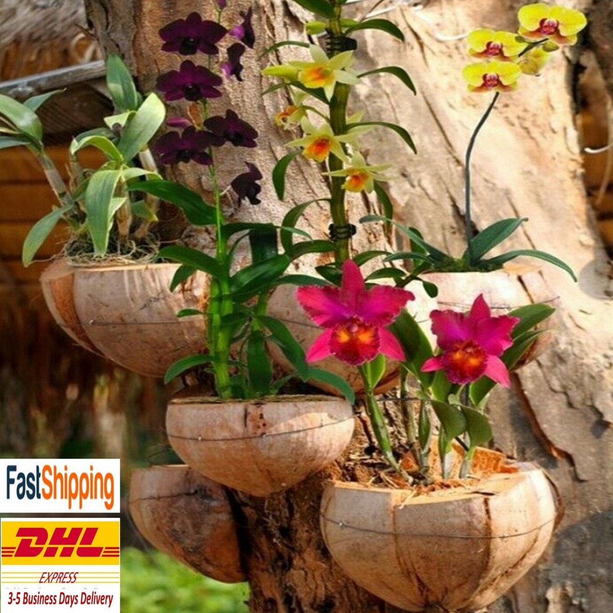 Coconut Husk Shell Hanging Orchid Basket Pot Hooks Plant Planter Hangers  Pots | eBay