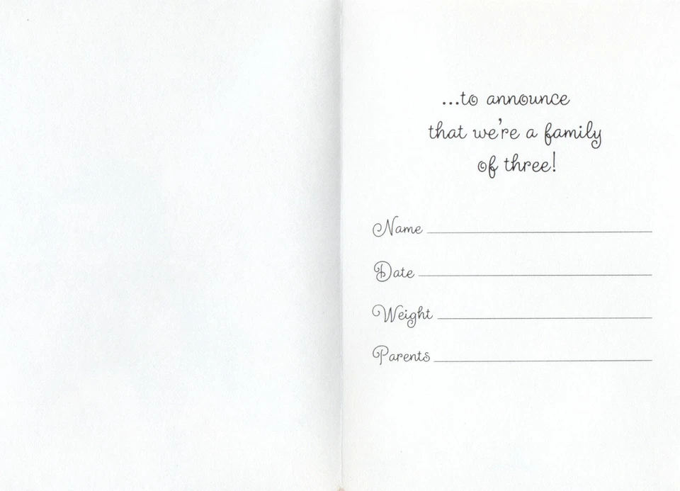 LOT OF 20 Cute HALLMARK NEW BABY ANNOUNCEMENT Cards + Envelopes, Family of Three - Image 2 of 4