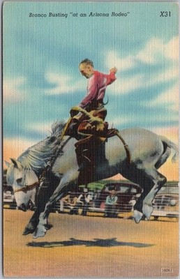 Vintage 1940s Linen COWBOY Postcard ''Bronco Busting at an Arizona Rodeo'' Unused
