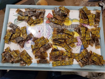 100 Vintage Sample Packs DAISY Golden Bullseye BB Packs