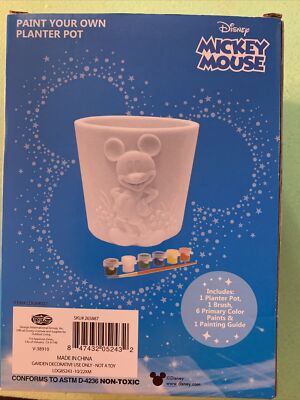 Disney Mickey Mouse Paint Your Own Planter Box | eBay
