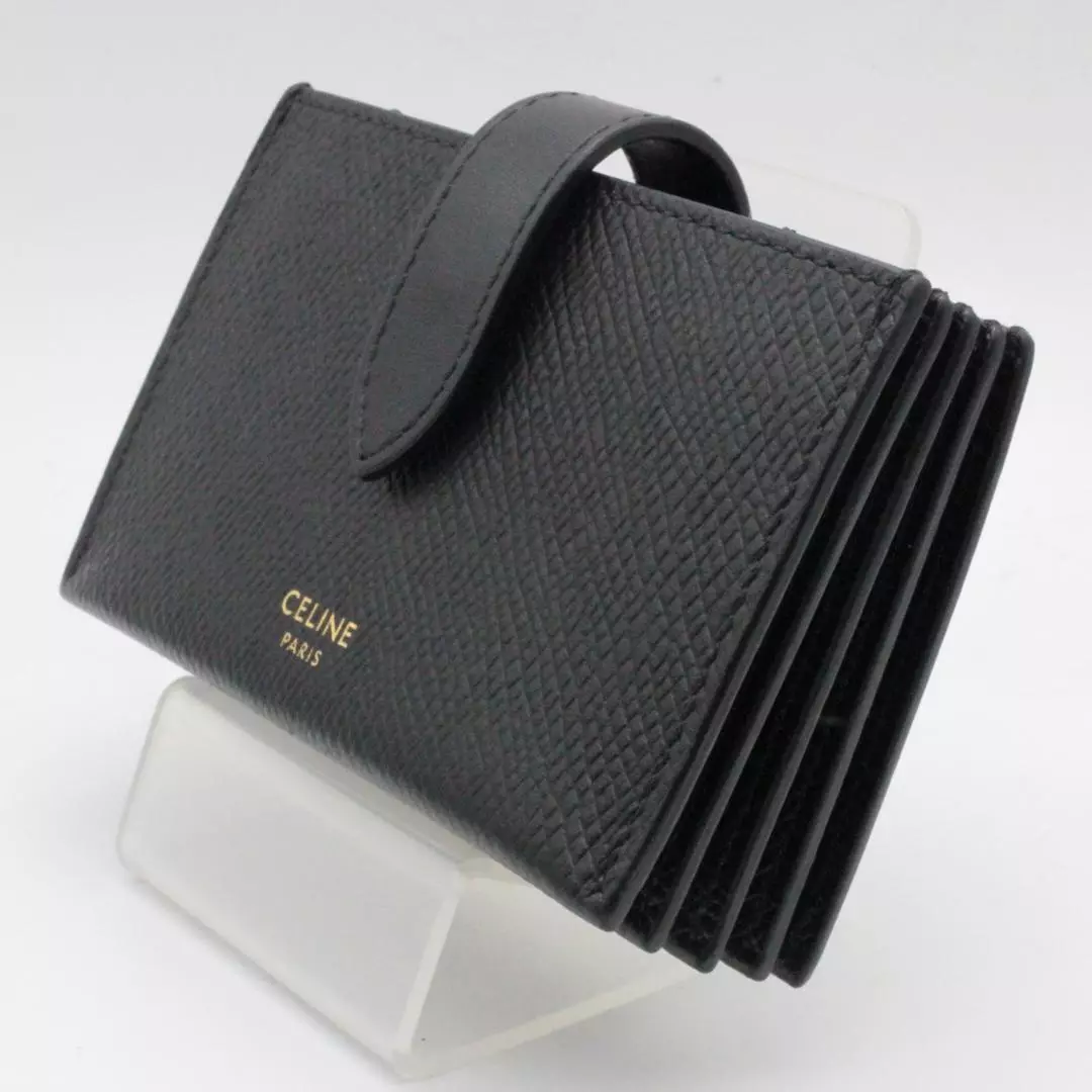 Celine Accordion Card Holder in Black