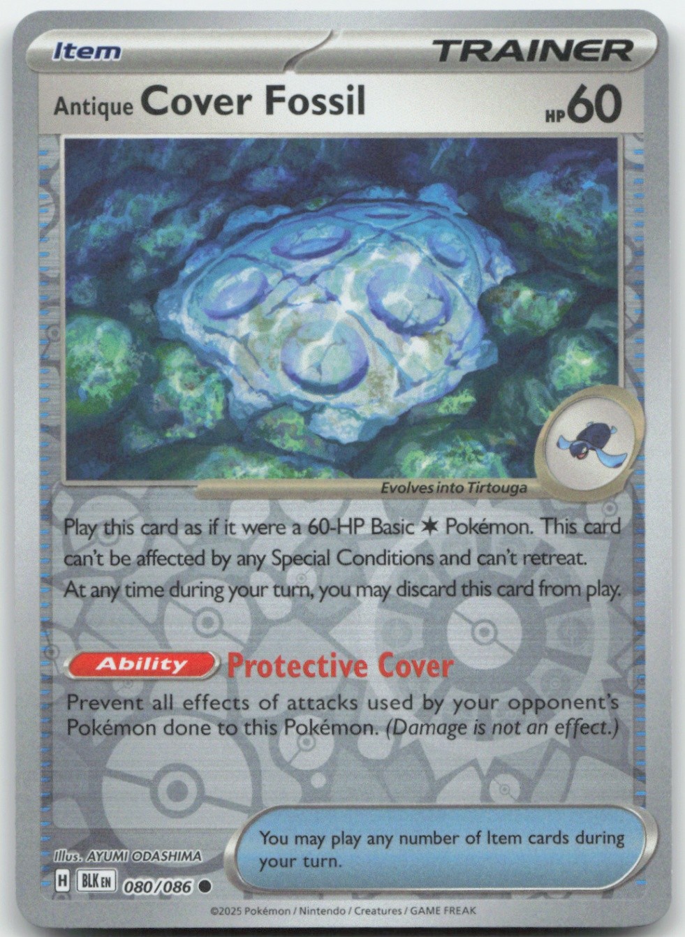 Antique Cover Fossil