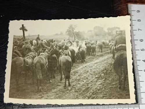 GERMAN WW2: period military photo: SOLDIER and families, uniform shots, etc.#12