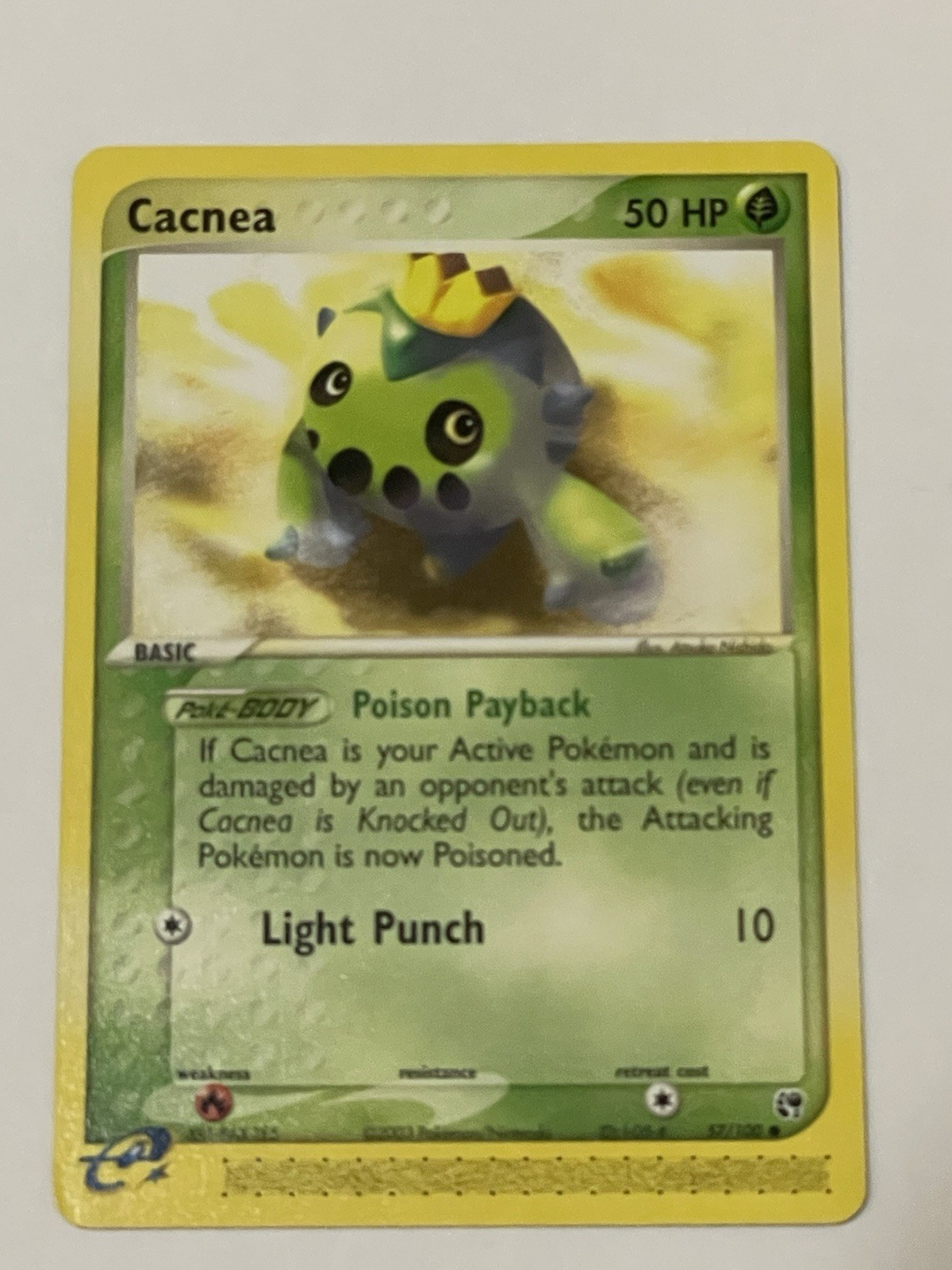 Cacnea 57/100 Sandstorm Regular NM