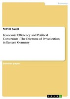 Economic Efficiency And Political Constraints - The Dilemma Of Privatization In