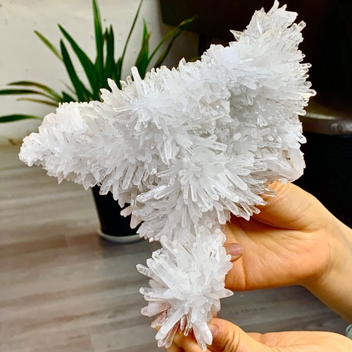 2.62LB Natural transparent chrysanthemum crystal cluster crystal specimen - Picture 2 of 22