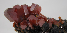Piccole ma infuocate gemme cristalli di vanadinite rossa con goethite e barite Mibladen Marocco