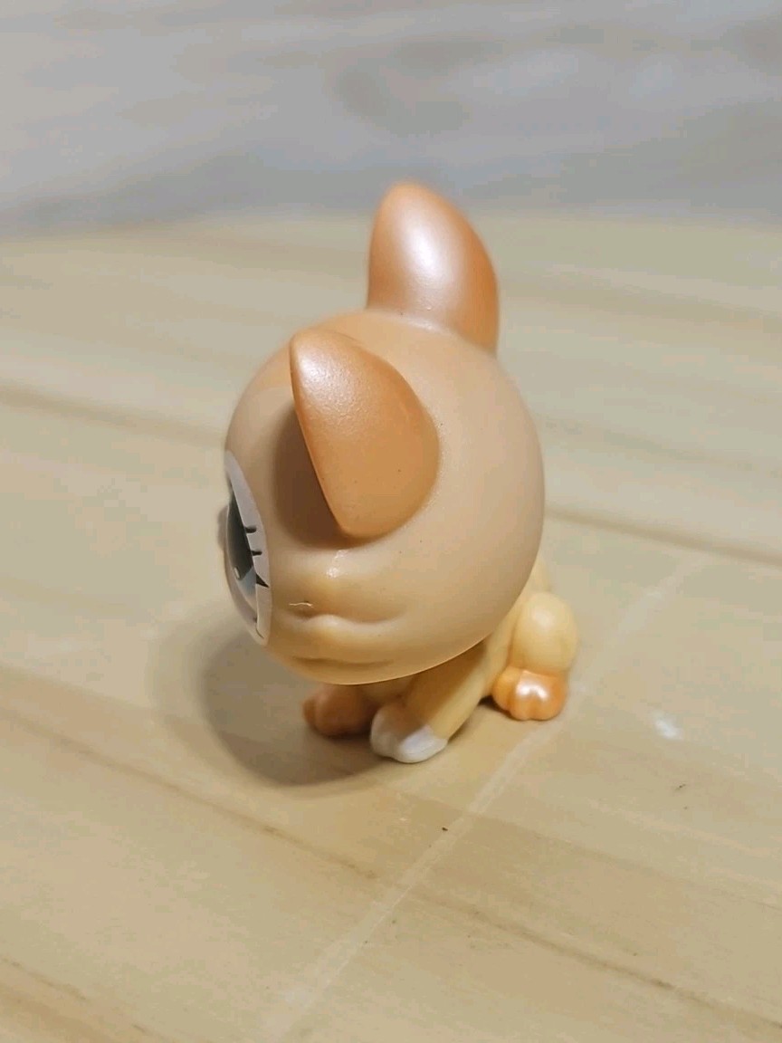 LPS 2008 Littlest Pet Shop Crouching Shimmery Cat #870 | eBay