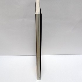 Neon Genesis Evangelion Sega Saturn Perfect Guide Monthly Game Walker 2nd