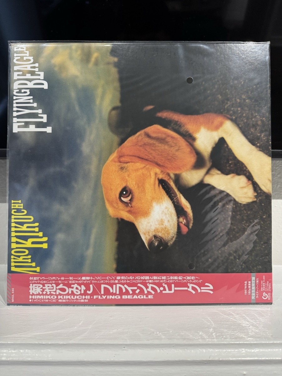 新品 菊池ひみこ FLYING BEAGLE フライングビーグル レコード 【公式通販】
