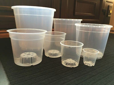Clear Orchid Plastic Flower Plant Pots Growing