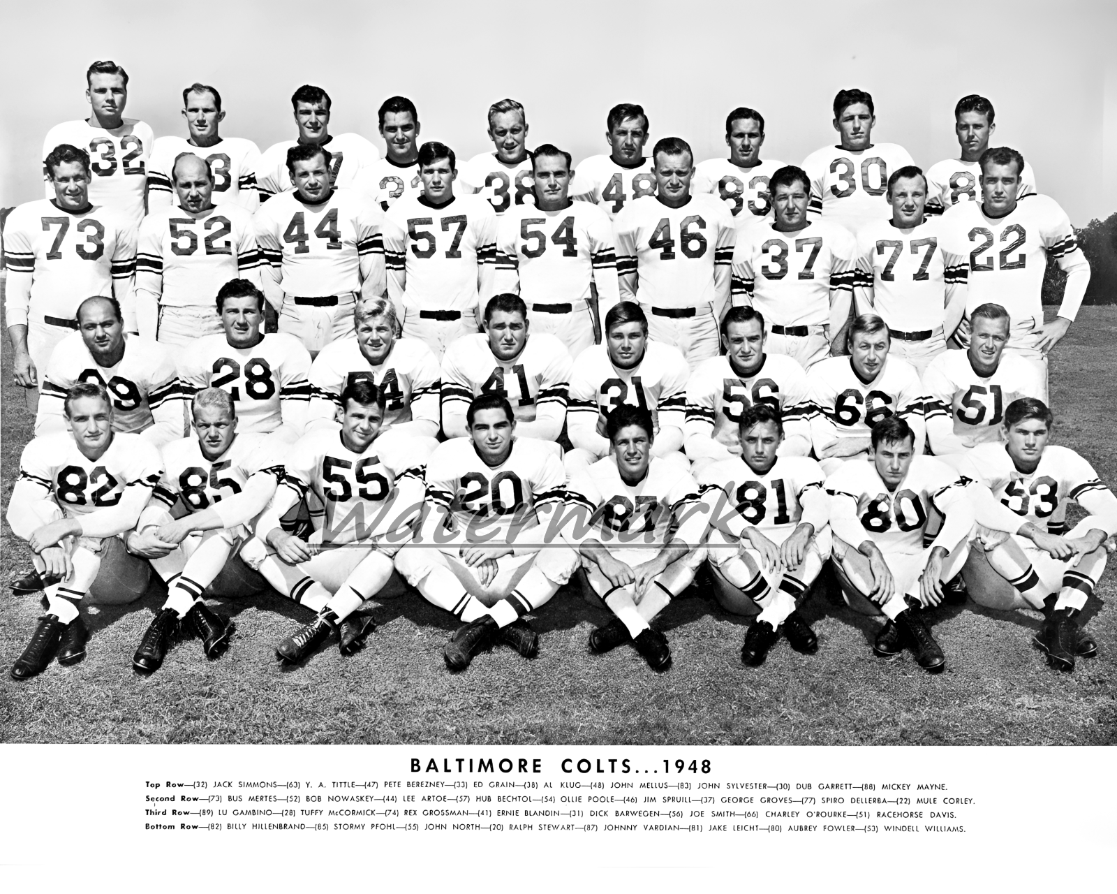 NFL 1948 Baltimore Colts Team Picture Rookie Y. A. Tittle 8 X 10 Photo