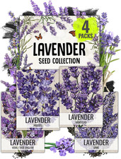 Lavender Seeds for Planting a Variety of Lavandula Plants 4 Packs 