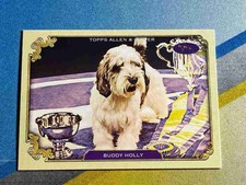 2024 Topps Allen & Ginter Pick Your Insert Complete Your Set - Buy More & Save