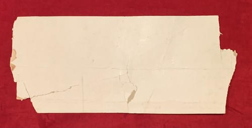 Antique 1924 Red Grange U of Illinois Football Team Premium Panoramic Photo Old - Picture 9 of 9